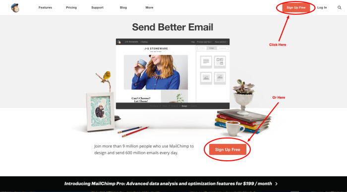 Mail Chimp Sign Up Screen
